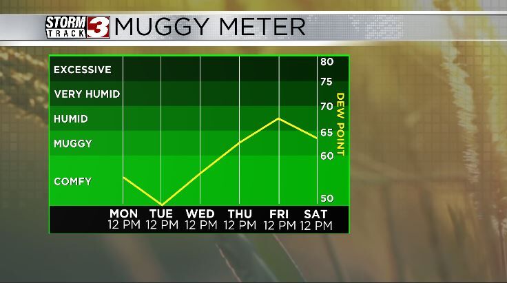 Muggy Meter